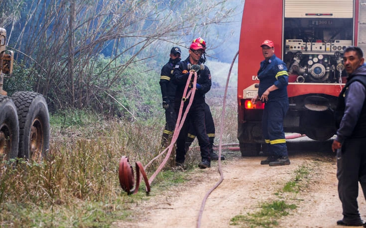 ΕΚΤΑΚΤΟ: Φωτιά στην πολύπαθη Χαλκιδική